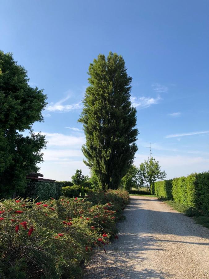 Via D' Este 8
